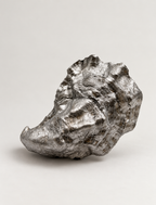 Metallic Oyster Shell Dish