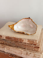 Pearlescent Oyster Shell