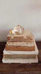 Pearlescent Oyster Shell